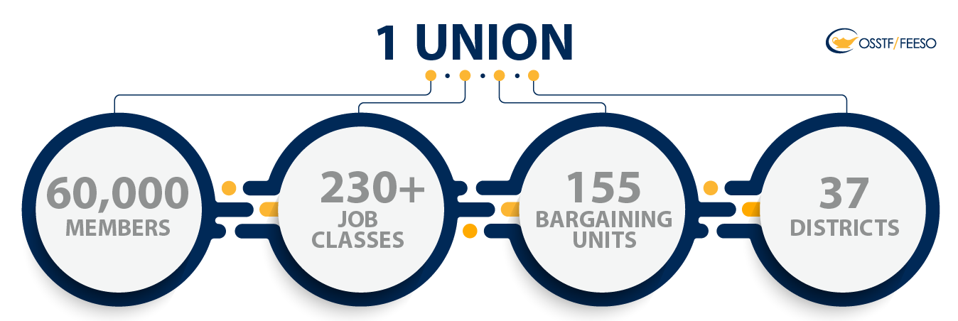 1 Union, 60000 members, 230+ job classes, 155 bargaining units, 37 districts